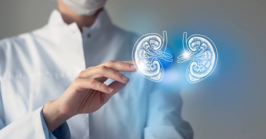 Who’s Most at Risk for Developing Chronic Kidney Disease?